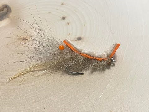 Disco Shrimp Popper Fly