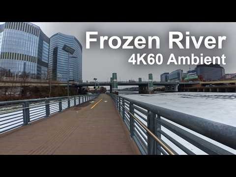 Philadelphia Skyline Walk: Schuylkill Banks Boardwalk & Bridges | 4K60 City Sounds