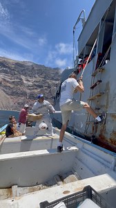 205K views · 4.7K reactions | El Compa Meño on Reels | Facebook