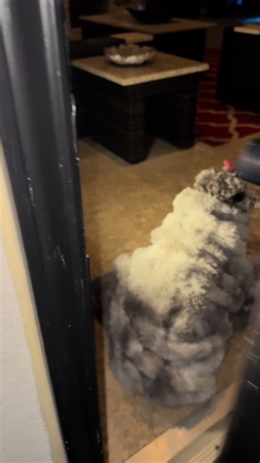 LDrake (@ldrake2)’s videos with original sound - DSAI