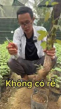 Types of seedlings you should not buy