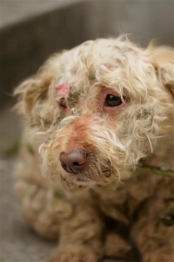 A Bath that Everything | Hilarious Ted