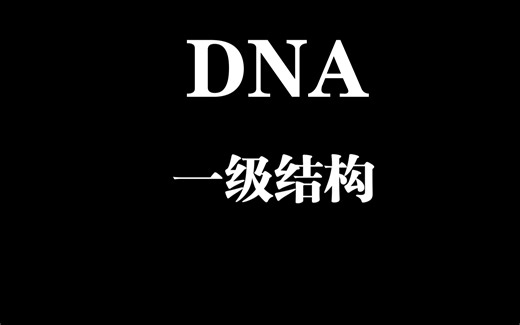 DNA一级结构
