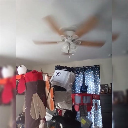 I broke Lion King in the best way #parody #unhinged #funny