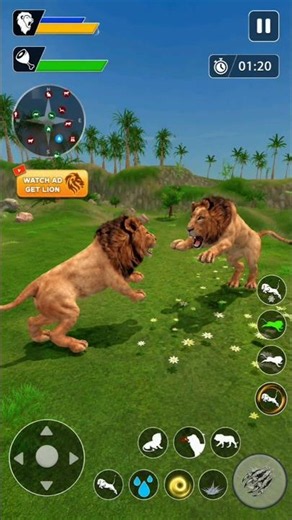 Campaign Mode | Lion Games Animal Simulator 3D | Ultimate Lion Adventure Gameplay #animalgame