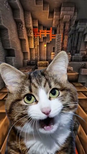 FOOTBALL MEME PART 2🤫 WHAT KIND OF MATCH IS THIS? 😑