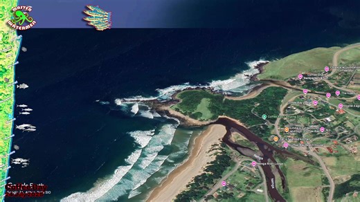 Sardine Run 2025 Highlights from Coffee Bay