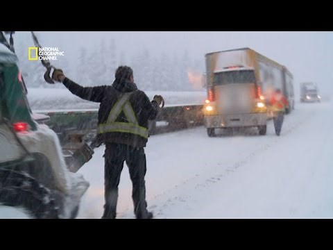 Embrouille sur la route