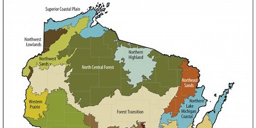 Wisconsin DNR releases 2026-27 biennial habitat work plan to support native wildlife