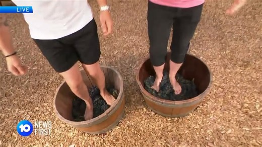 Joshua Webster has the latest seven-day forecast from Hahndorf, ahead of a big weekend in the hills | Sidewood Estate | 10 News Adelaide