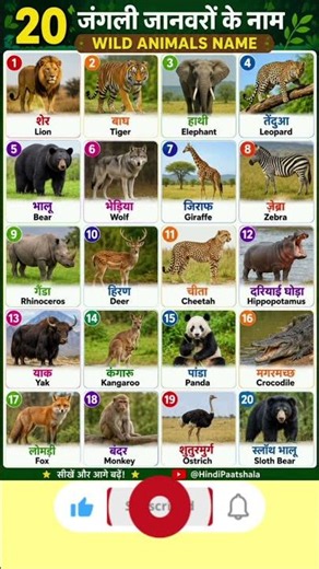 wild animals in hindi and English/junglee janwar in Hindi&English/wild animals chart/#youtubeshorts