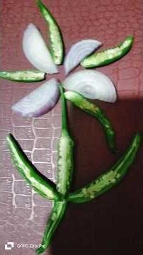 onion and green chilli Salad decoration ideas