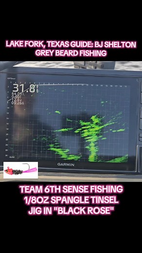 6th Sense Fishing 1/8oz Tinsel Jig in "Black Rose" putting in work! 🍁Fall🍁 is upon us and the bite on Lake Fork, Tx is getting even 🔥! Now is the time to lay the 🔨 down on em'! 🤘😎 Use DISCOUNT code: GREYBEARD at checkout at www.6thSenseFishing.com and save some 💲! Grey Beard Fishing Lake Fork Texas Guide #greybeardfishing #lakeforkguide #6thsensefishing #6thsensecrappiefishing | Grey Beard Fishing Lake Fork Texas Guide