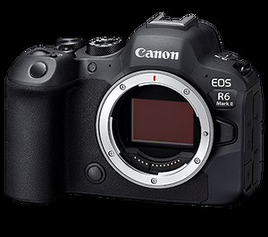 EOS R6 Mark II (Body)