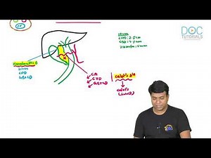 10 minute series- ERCP and related Anatomy