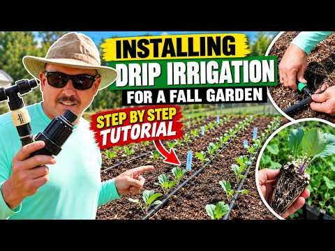 How to Install Drip Irrigation in Your Vegetable Garden (Step by Step)