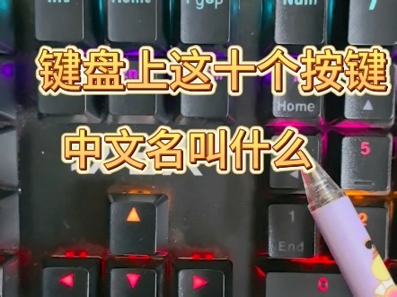 键盘上的这十个按键中文名叫什么你知道吗？