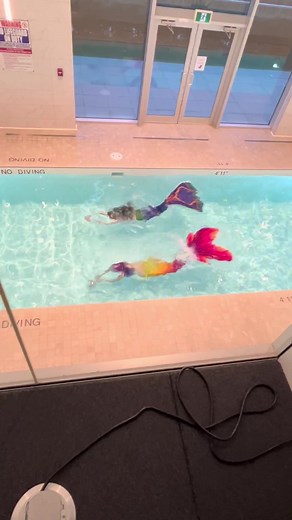 Mermaid vibes ✨ #fyp #foryou #mermaidtok #mermaidtail #mermaidswimming #realmermaid #mermaidsighting #mermaidzelda #mermaidcosplay