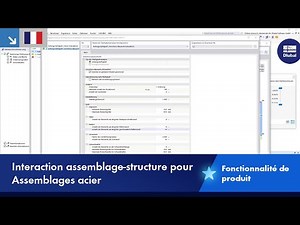 Interaction assemblage-structure pour Assemblages acier