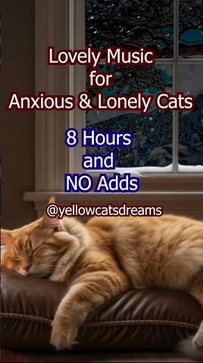 ULTIMATE Cat Relaxation: Soothing Piano Music & Cozy Fireplace Sounds for Anxious & Lonely #cat
