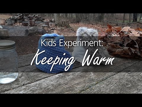 Stay Warm: Insulation Experiment
