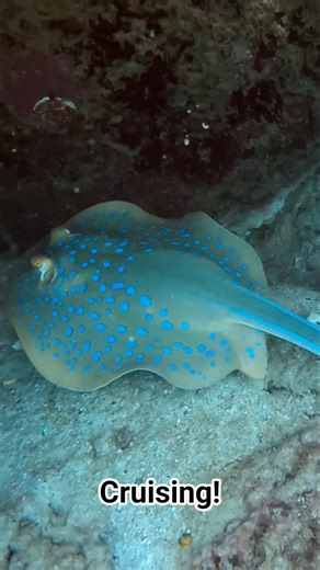 Ocean Magic ✨️
