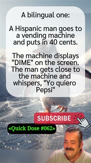 Can You Get This Bilingual Joke?