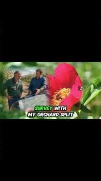 They Moved My Property Line to Steal My Farm So I Dug Up the Truth I Dad Silent Revenge Story.