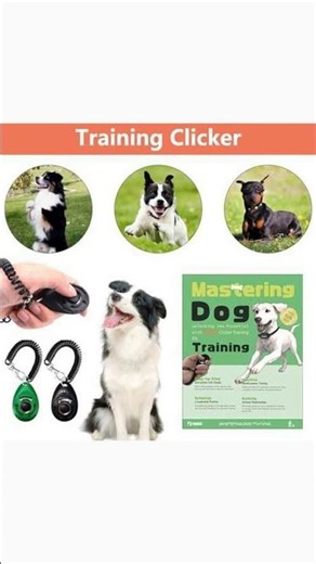 Train Your Puppy Like a Pro with BARKIE!