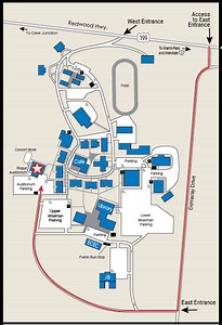 Workshops – The Art of Felling Timber