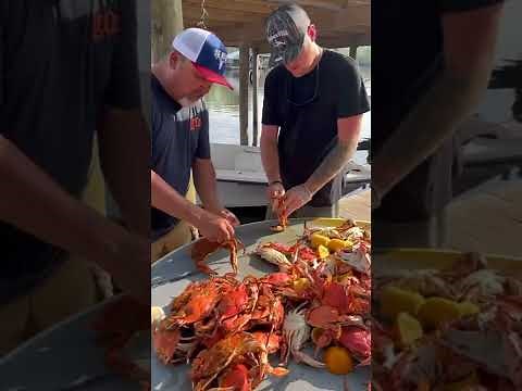 Louisiana Boiled Crabs vs Maryland Steamed Crabs
