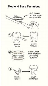Correct Tooth Brushing Technique | Dentist Explains the Right Way to Brush Teeth