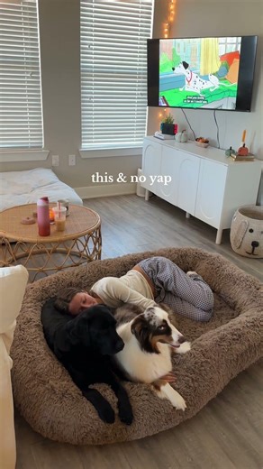 I could stay here forever Pet code: HANNAN20 ☁️