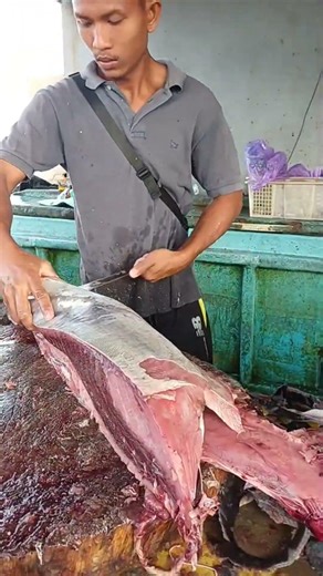 Witnessing Bang Rahman's skill in filleting tuna to perfection