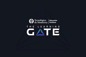 The Learning Gate