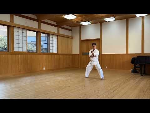 Naihanchi Shodan (Okinawa Kenpo)