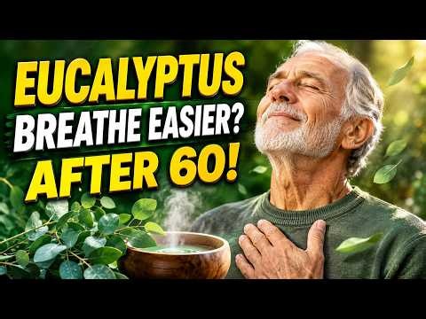Benefits of Eucalyptus for Breathing Comfort and Senior Wellness