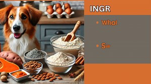 2 ingredients homemade dog biscuits