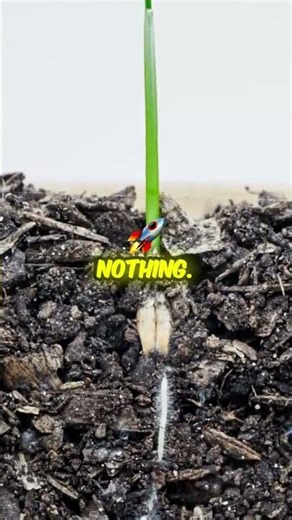 BigQuery vs. MotherDuck to Microsoft Fabric: The tech pivot revealed.