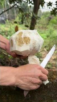 Clean Knife Sounds on Yellow Pomelo