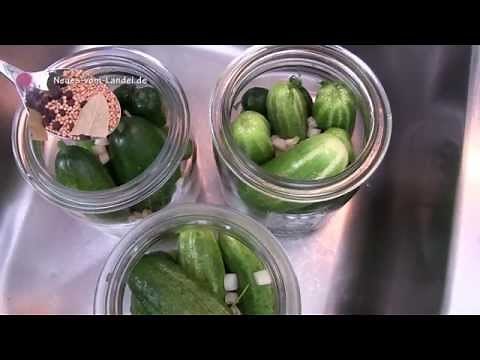🥒Gurken einmachen für Einsteiger🥒