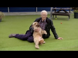 Paul O'Grady: For the Love of Dogs S010E01 Full Episode HD