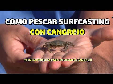 How to Surfcast with Crab: The Perfect Technique for Setting the Hook