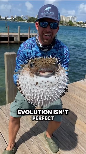 What If Evolution Sometimes Goes WRONG?