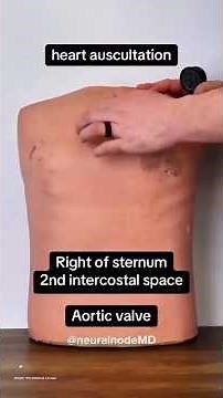 How to do heart sounds auscultation