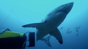 19K views · 615 reactions | Grab a late-night snack and get ready to...