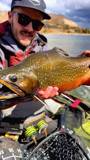 Got em ⇞ #mtnszn #backcountryszn #brooktrout #flyfishing #staybent @SG-FIELDCORE