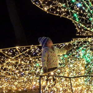 Milwaukee County Zoo on Reels | Facebook