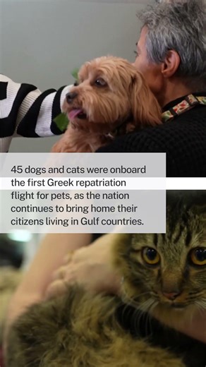Greeks Reunited With Pets After Special Return Flight Fleeing Middle East Conflict