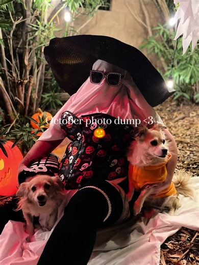 October was so busy and also incredible #TikTokHalloween #halloween #mothman #dannyelfman #nightmarebeforechristmas #hollywoodbowl